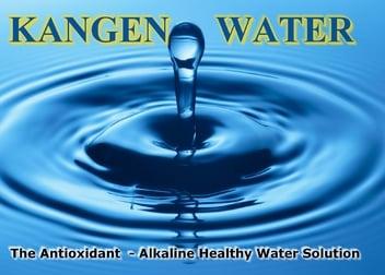 Official distributor of Enagic alkaline water system