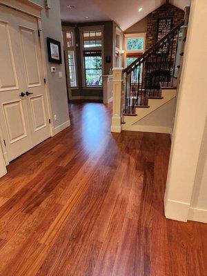 Brazilian Cherry refinish, Kirkland, WA.