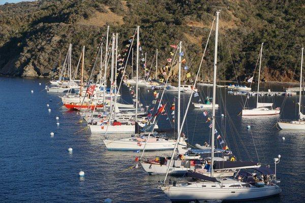 LA Yacht Club Members' moorings in Howland's Landing.