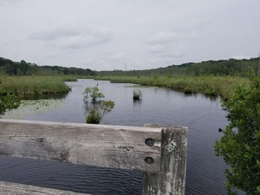 William C. O'Neill Bike Path