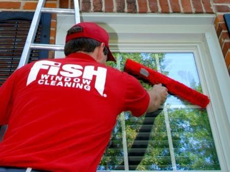 Fish Window Cleaning