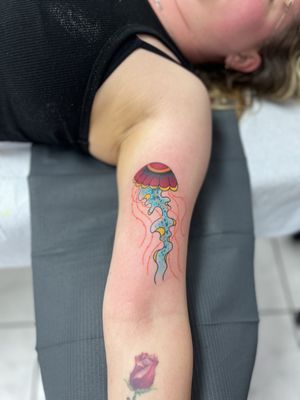 Jellyfish