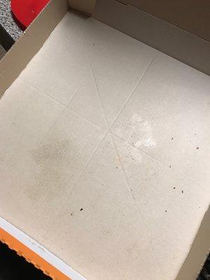 No oily residue like most pizza takeout!