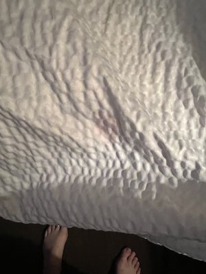 Dirty stained duvet