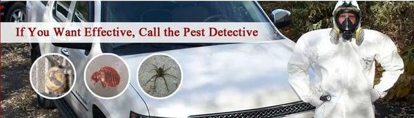 Pest Detective