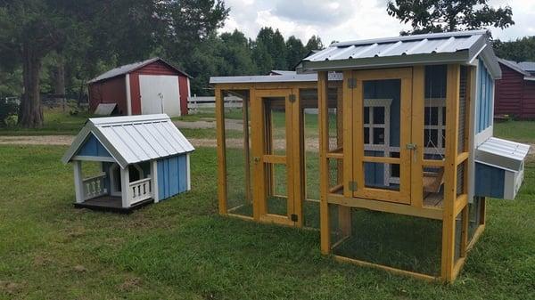 We've been building the Triangle's best chicken coops since 2008!