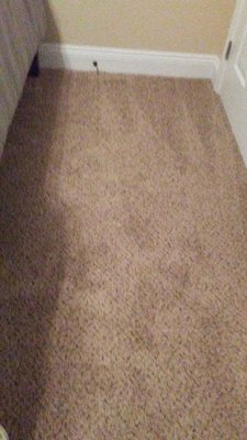 Carpet Cleaning in Hattiesburg, MS