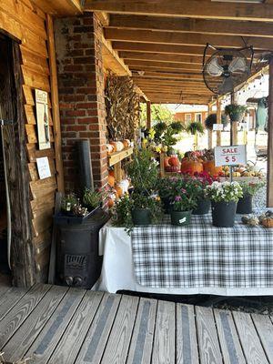 Entrance with plants.