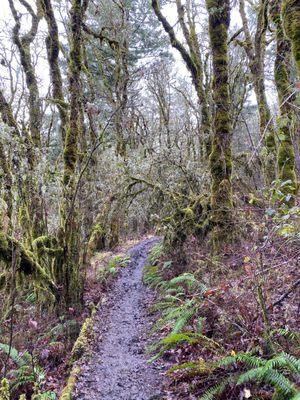 Muddy trail to the top of the hill