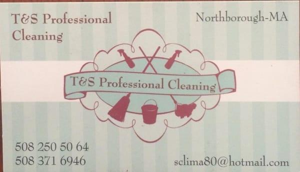 TS Professional Cleaning Company