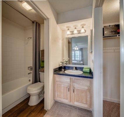 Ensuite bathroom with walk-in closet