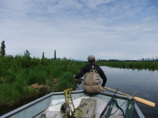 Our guide quietly rowing us to a new spot on the river