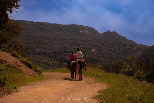 Top of the trail, horseback riding