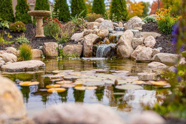 Serene Water Gardens