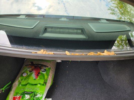 Again, didn't even open the trunk