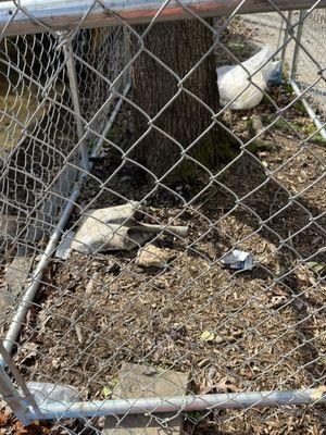 Anchor crew throws plastic, broken tools, trash, and debris inside and outside of DC neighborhood tree boxes.