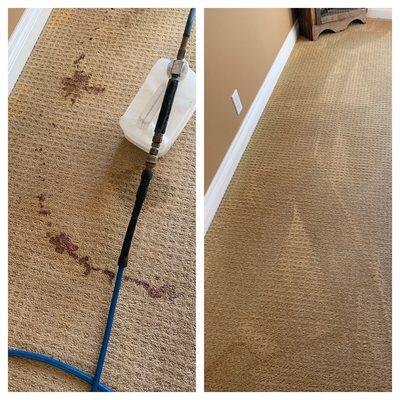 JTS Carpet Cleaning