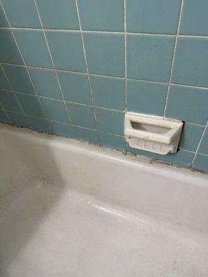 Nasty stains and lining in the tub and all over the walls