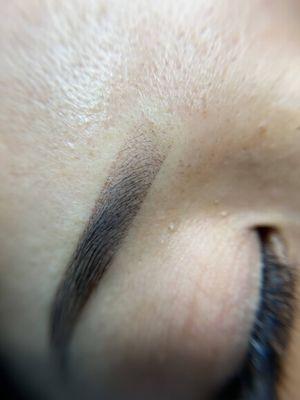 Ombré Powder Brows