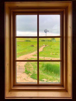 View from the second story museum