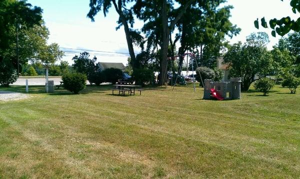 Sitting area swings, shaded by giant trees.