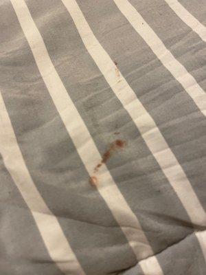 Unknown red / brown liquid on sheets upon arrival