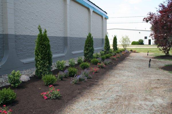 Another view of the beds, turf sprouting soon!