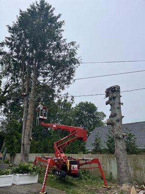 Tree cutting east Hampton NY