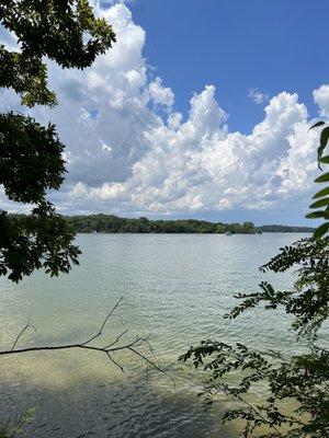 Percy priest lake