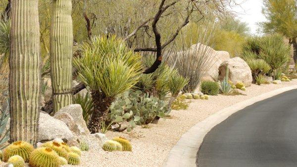 Valley Verde Nursery & Landscaping