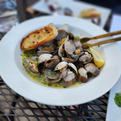 Manila Clams