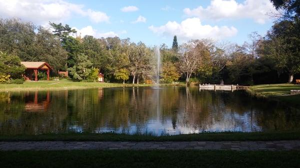 Beautiful pond