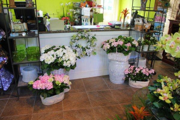 Beautiful shop with beautiful flowers!