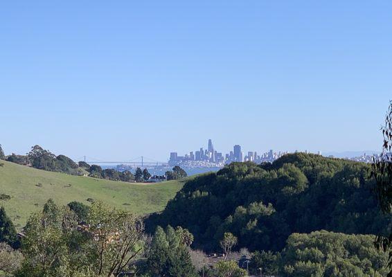 Alto Bowl Preserve