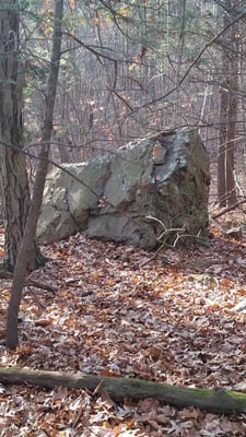 Large bolder along the trail.