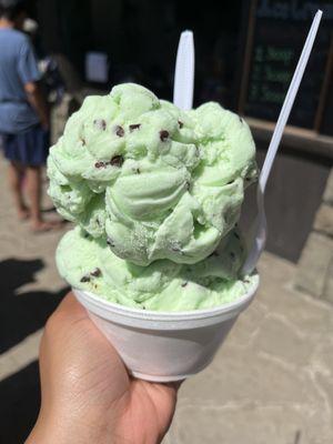 Double scoop of mint chip $6