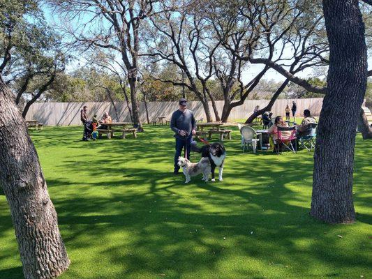 A dog park with artificial turf recently installed by Southern Turf Co.