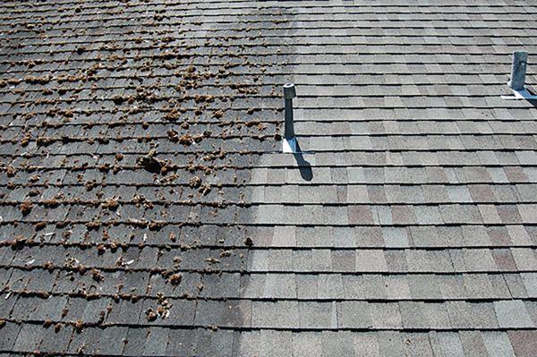 Roof cleaning