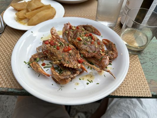 Soft shell crabs special.