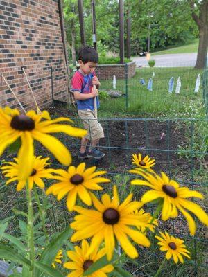 Outdoor Gardening