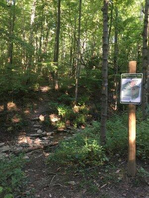 There are several miles of hiking trails.  Well marked with signs and diamonds painted on trees, however a bit overgrown in places.