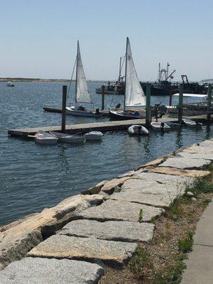 Wellfleet Harbor