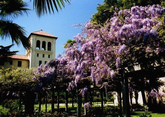 Santa Clara University