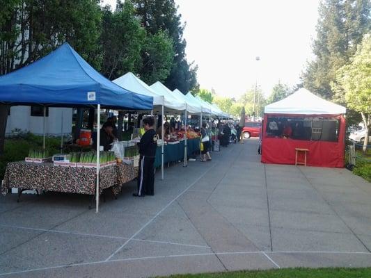 Farmer's Market row.