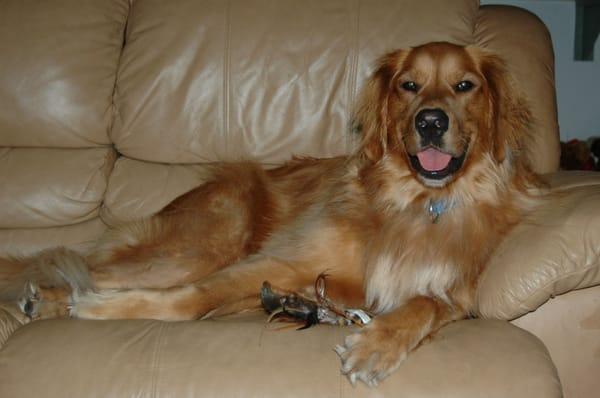 Hannah sitting on her couch smiling because she got to stay home and have Debbie take care of her, Home Sweet Home