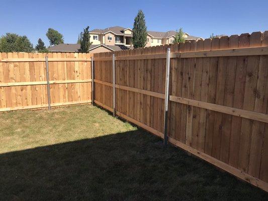 cedar fence