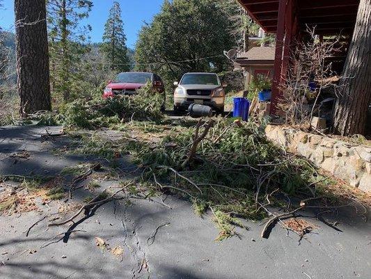 Debris left by CYD.