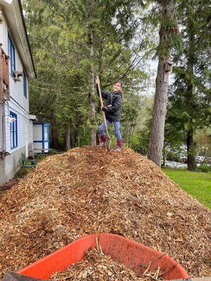 Garden volunteer