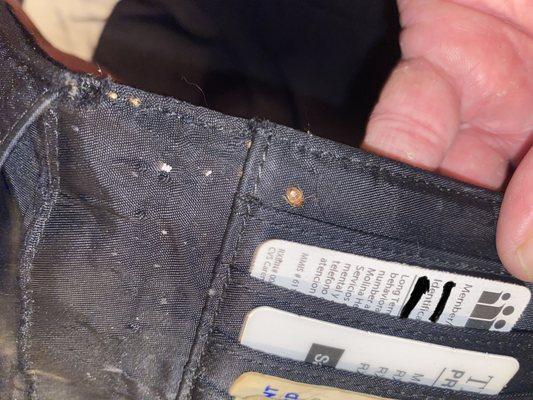 Bed bugs can fit in anything the width of a credit card.