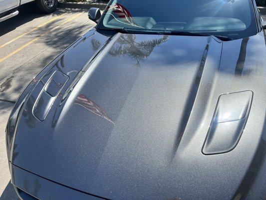 Reflection of the American flag, and a palm tree also, if you zoom in you can see the metallic in the paint